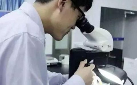 如何鉴定翡翠 最快速辨别翡翠真伪的方法