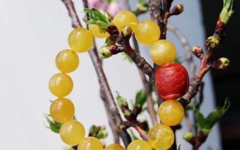 琥珀蜜蜡什么季节佩戴比较好？