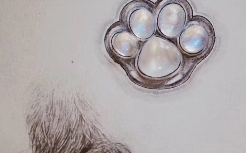 没秒到猫爪杯？安晴家肉嘟嘟的月光石猫爪颜值爆表！