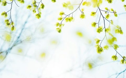 速看！火把节放假2027年放假时间表大公开