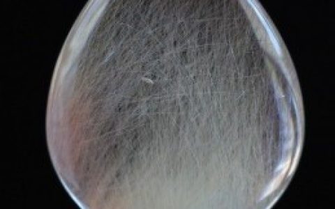 银发晶的功效与作用