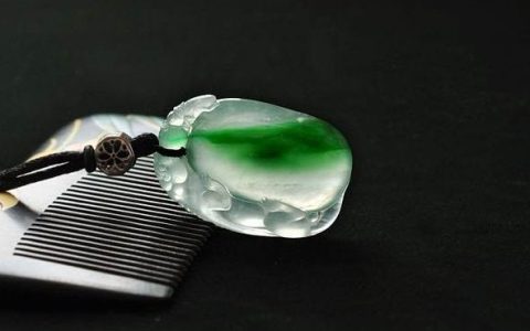 翡翠的种有哪些 这些常见的翡翠的种你全了解吗