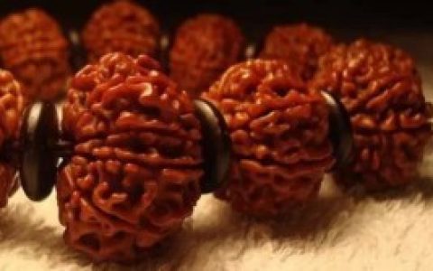 最全面大金刚菩提把玩入门指导