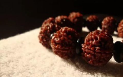 金刚菩提的产地