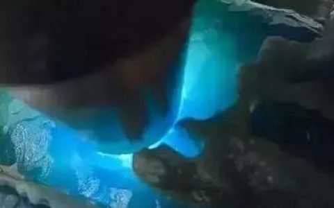 危料蓝水翡翠对人体有害是真的吗 危料和蓝水翡翠的区别