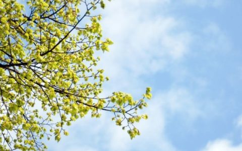 火把节是哪天？别错过这场盛大的狂欢