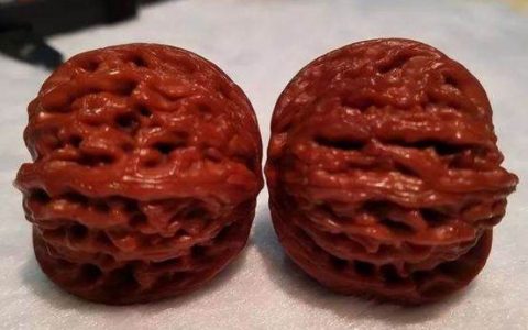 文玩核桃什么品种最好 文玩核桃有什么品种