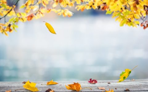 秋分养生注意事项（饮食起居方面需要注意什么）