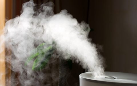 加湿器不如一盆水是真的吗？冬季加湿真相揭秘！