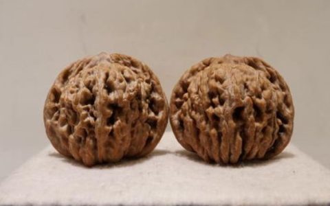 文玩核桃档次排名 文玩核桃十大排名