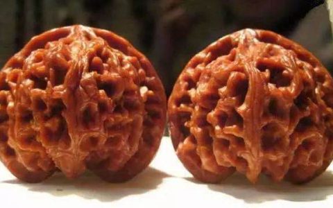 新核桃盘玩全部程序 怎么盘玩新核桃