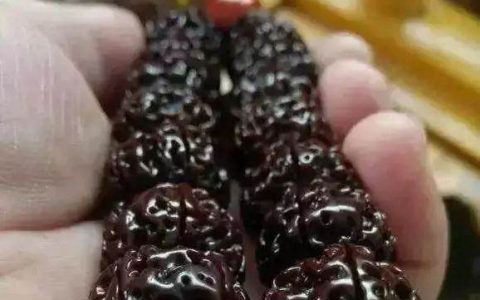 老金刚菩提手串图片欣赏 老金刚菩提手串鉴别