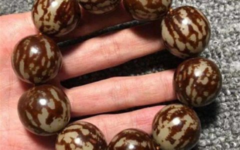 菩提根图片介绍 菩提根手串盘玩方法