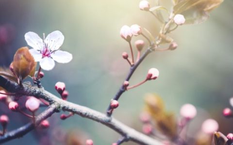 白露还热吗，了解白露时节的温度情况