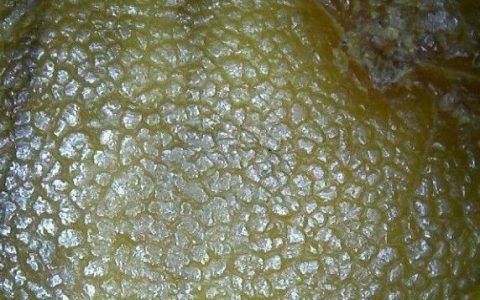 老蜜蜡风化纹能造假吗 老蜜蜡风化纹是什么样的