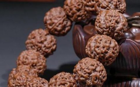 金刚菩提开裂了有没有影响 开裂处理方法
